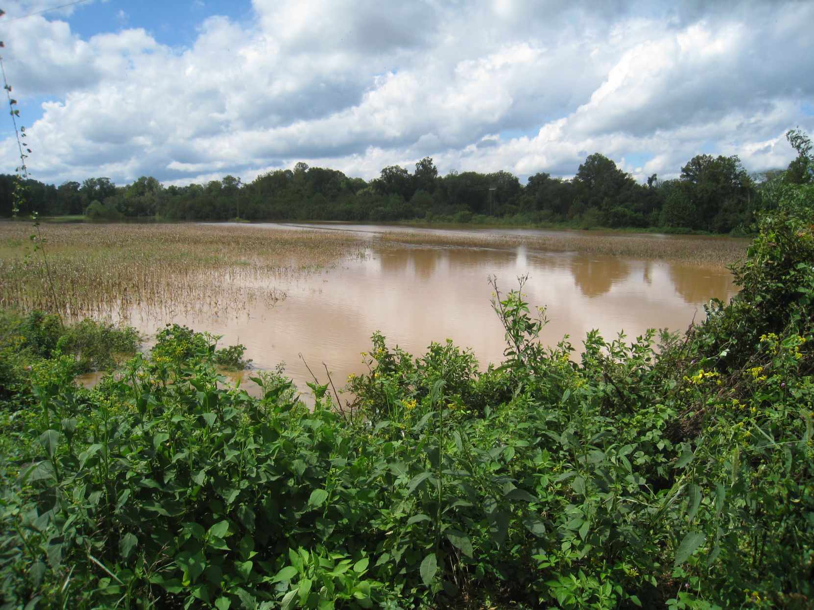 Madison Area Flood Photos